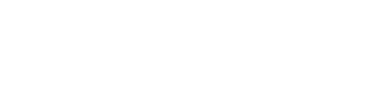 minassae.com